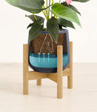 Load image into Gallery viewer, Deep Navy stand:bamboo
