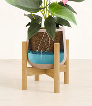 Load image into Gallery viewer, Eternal Gray stand:bamboo
