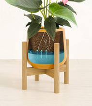Load image into Gallery viewer, Mustard stand:bamboo
