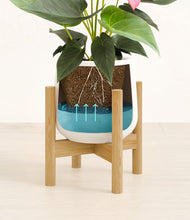 Load image into Gallery viewer, White stand:bamboo
