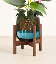 Load image into Gallery viewer, Black stand:walnut
