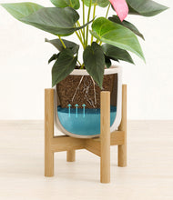 Load image into Gallery viewer, Snowdrift White stand:bamboo
