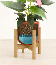 Load image into Gallery viewer, Glossy Red stand:bamboo
