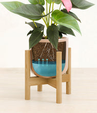 Load image into Gallery viewer, Glossy Pink stand:bamboo
