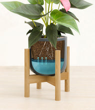 Load image into Gallery viewer, Iron Gray stand:bamboo
