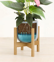 Load image into Gallery viewer, Misty Blue stand:bamboo

