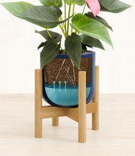 Load image into Gallery viewer, Twilight Blue stand:bamboo
