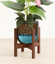 Load image into Gallery viewer, Stone Black stand:walnut
