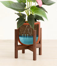 Load image into Gallery viewer, Glossy Red stand:walnut
