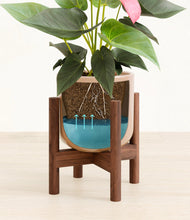 Load image into Gallery viewer, Glossy Pink stand:walnut
