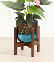 Load image into Gallery viewer, Twilight Blue stand:walnut

