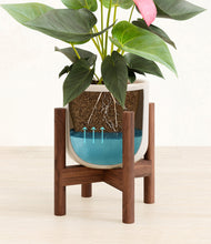 Load image into Gallery viewer, Snowdrift White stand:walnut
