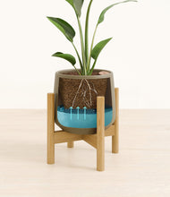 Load image into Gallery viewer, Olive stand:bamboo
