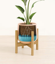 Load image into Gallery viewer, Gentle Pink stand:bamboo
