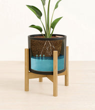 Load image into Gallery viewer, Black stand:bamboo

