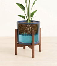 Load image into Gallery viewer, Deep Navy stand:walnut
