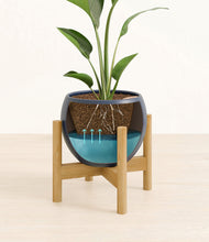 Load image into Gallery viewer, Deep Navy stand:bamboo
