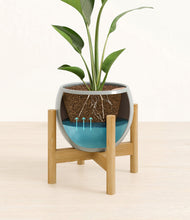 Load image into Gallery viewer, Deep Ocean stand:bamboo
