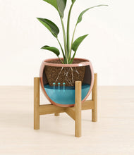 Load image into Gallery viewer, Calm Rose stand:bamboo
