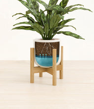 Load image into Gallery viewer, Cotton White stand:bamboo
