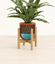Load image into Gallery viewer, Glossy Red stand:bamboo
