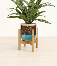 Load image into Gallery viewer, Glossy Pink stand:bamboo
