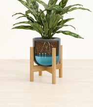 Load image into Gallery viewer, Iron Gray stand:bamboo
