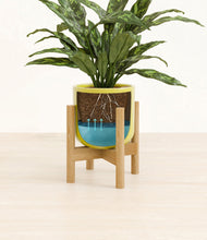 Load image into Gallery viewer, Key Lime Yellow stand:bamboo
