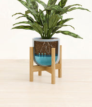 Load image into Gallery viewer, Misty Blue stand:bamboo
