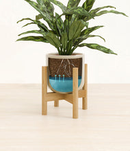 Load image into Gallery viewer, Sage Green stand:bamboo
