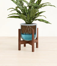 Load image into Gallery viewer, Misty Blue stand:walnut
