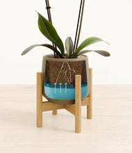 Load image into Gallery viewer, Olive stand:bamboo
