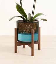 Load image into Gallery viewer, Black stand:walnut
