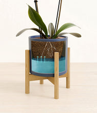 Load image into Gallery viewer, Deep Navy stand:bamboo
