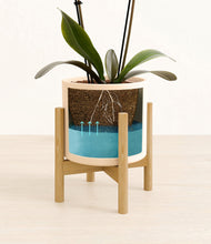 Load image into Gallery viewer, Cream stand:bamboo

