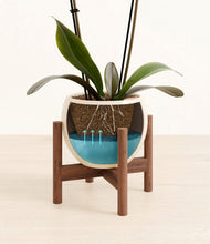 Load image into Gallery viewer, Shiny EggWhite stand:walnut
