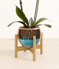 Load image into Gallery viewer, Calm Rose stand:bamboo
