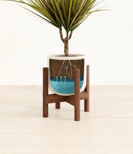 Charger l'image dans la galerie, Cotton White stand:dark
