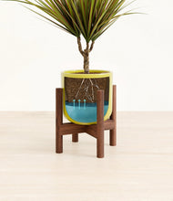 Charger l'image dans la galerie, Key Lime Yellow stand:dark
