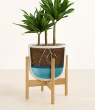 Load image into Gallery viewer, Natural Bamboo stand:bamboo
