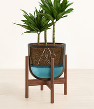 Load image into Gallery viewer, Stone Black stand:walnut
