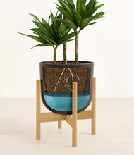Load image into Gallery viewer, Stone Black stand:bamboo
