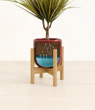 Charger l'image dans la galerie, Striped Cherry Red stand:light
