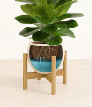 Load image into Gallery viewer, Shiny EggWhite stand:bamboo
