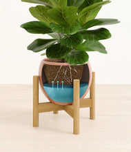 Load image into Gallery viewer, Calm Rose stand:bamboo
