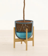Load image into Gallery viewer, Iron Gray stand:light
