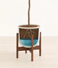 Load image into Gallery viewer, Natural Bamboo stand:dark
