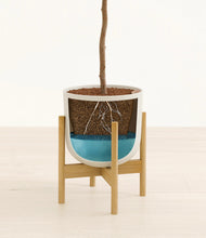 Load image into Gallery viewer, Natural Bamboo stand:light
