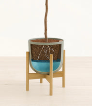 Load image into Gallery viewer, Sage Green stand:light
