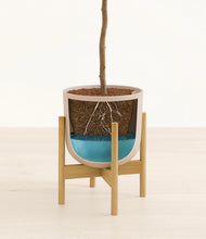 Load image into Gallery viewer, Sandy Pink stand:light
